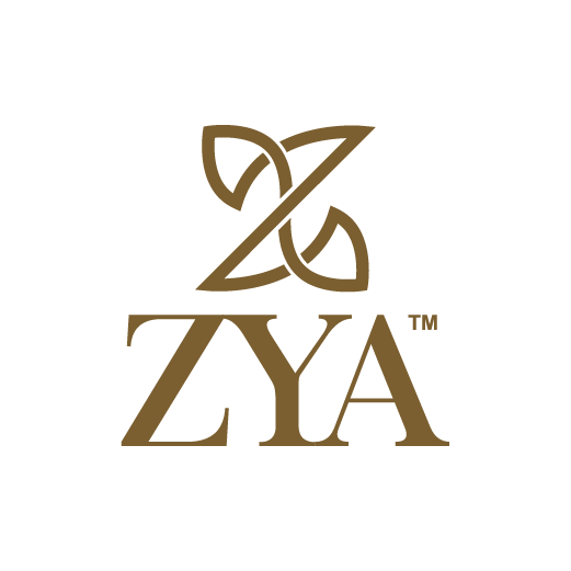 clients logo Alev design-18