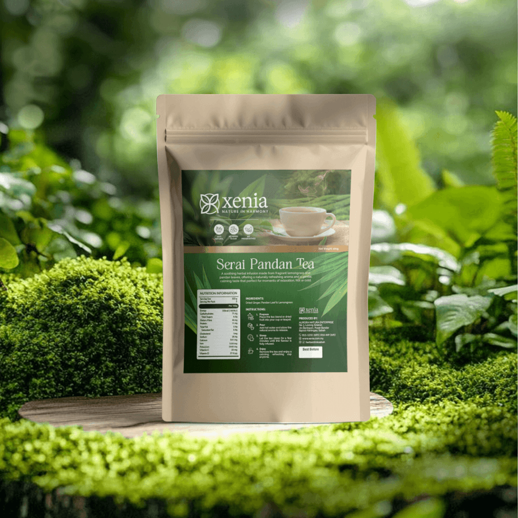 Xenia Mockup 2